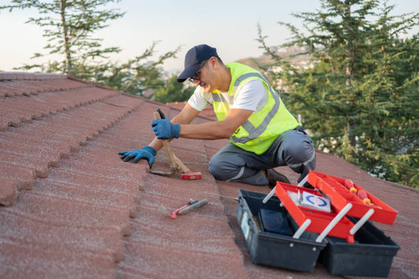 Best Roof Gutter Cleaning  in Westerville, OH